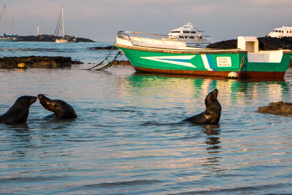 Chez Manany Galapagos Ecolodge Puerto Villamil Extérieur photo